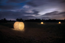 Hay Bales