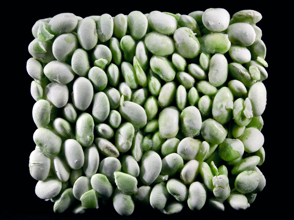 Frozen Vegetables Chris Becker