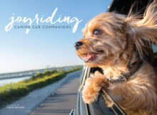 Joyriding, Canine Car Companions Book