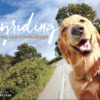 JOYRIDING (second edition, soft cover), Canine Car Companion Book - Image 2